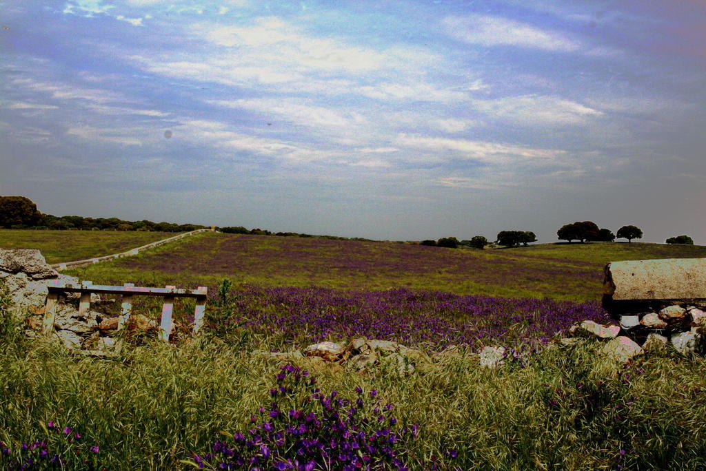 Casa Rural La Cuadraa Linares de Riofrío Oda fotoğraf