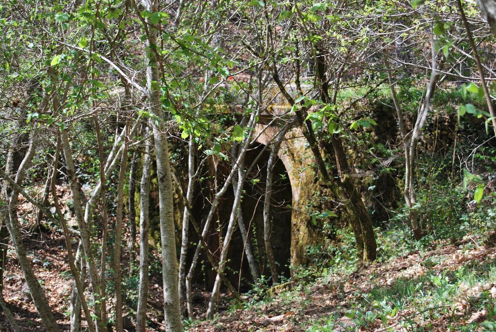 Casa Rural La Cuadraa Linares de Riofrío Dış mekan fotoğraf